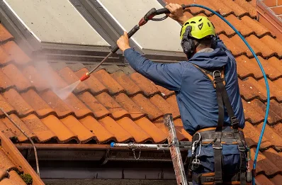 Démoussage et hydrofuge de toiture à Plagne